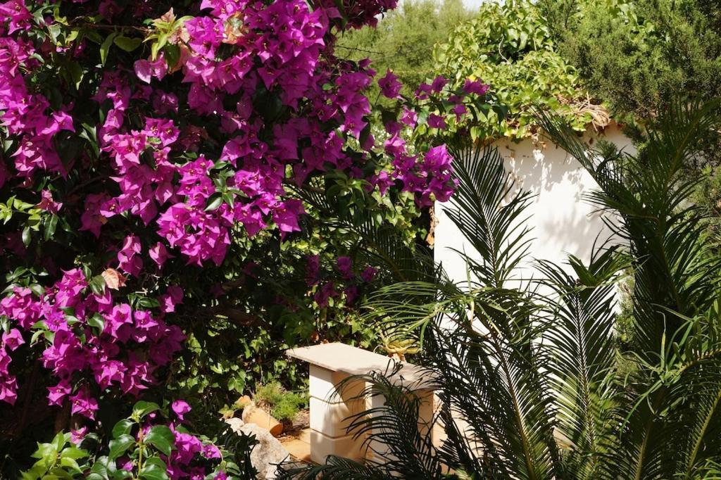 Villa Cala Mendia Cala Mandia  外观 照片