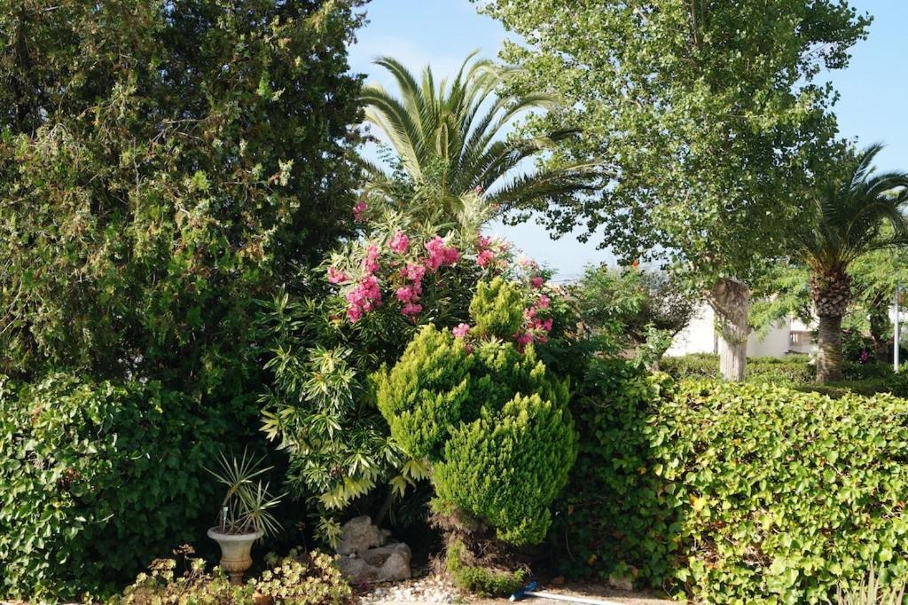 Villa Cala Mendia Cala Mandia  外观 照片
